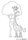 Malvorlage  Giraffe