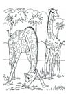 Malvorlagen Giraffen