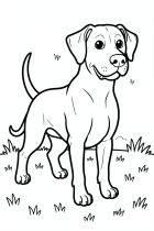 glücklicher Hund