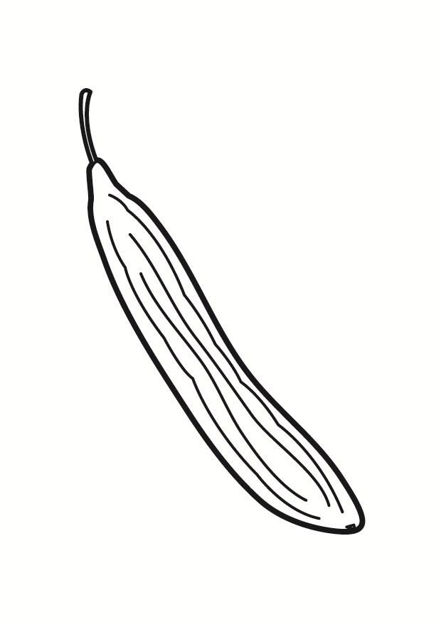 Malvorlage Gurke | Ausmalbild 23213.