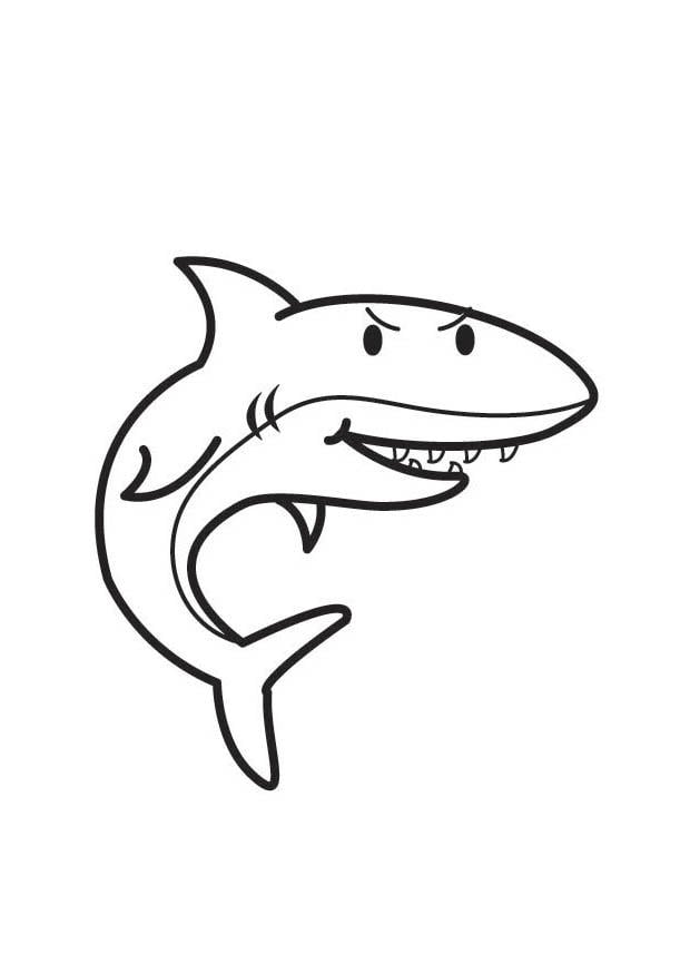 malvorlage hai  kostenlose ausmalbilder zum ausdrucken