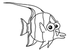 Malvorlage  Halfterfisch