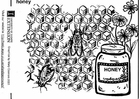 Malvorlage  Honig