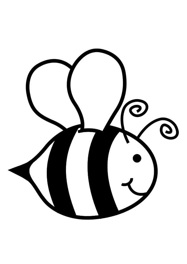 Malvorlage  Honigbiene