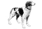 Malvorlage  Hund - Cockerspaniel