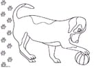 Malvorlage  Hund