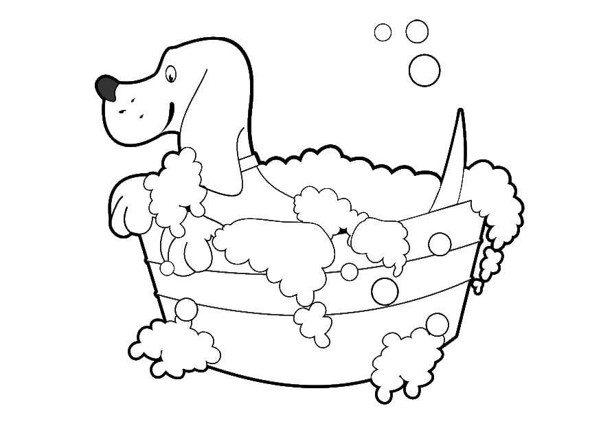 Malvorlage  Hund waschen