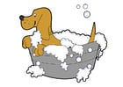 Malvorlage  Hund waschen