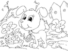 malvorlage Hundebaby