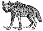 Malvorlagen Hyäne