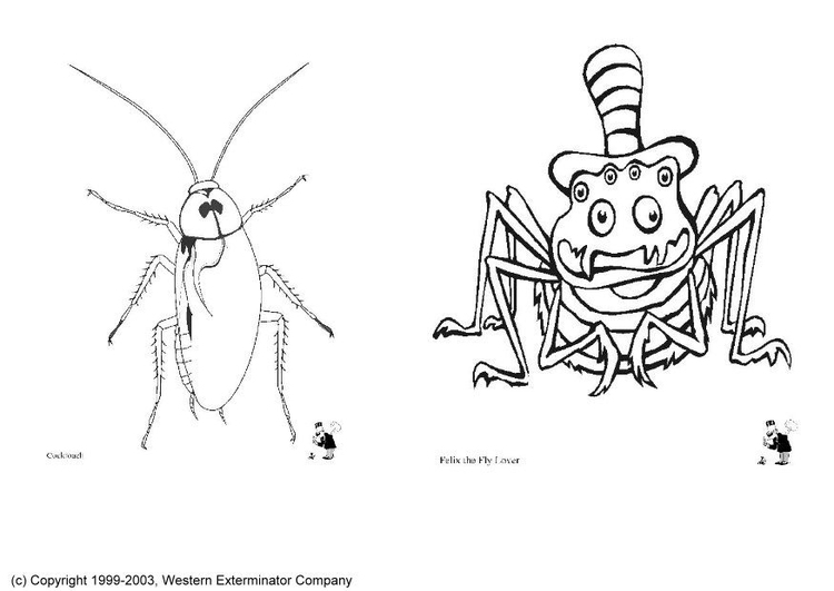 Malvorlage  Insekten