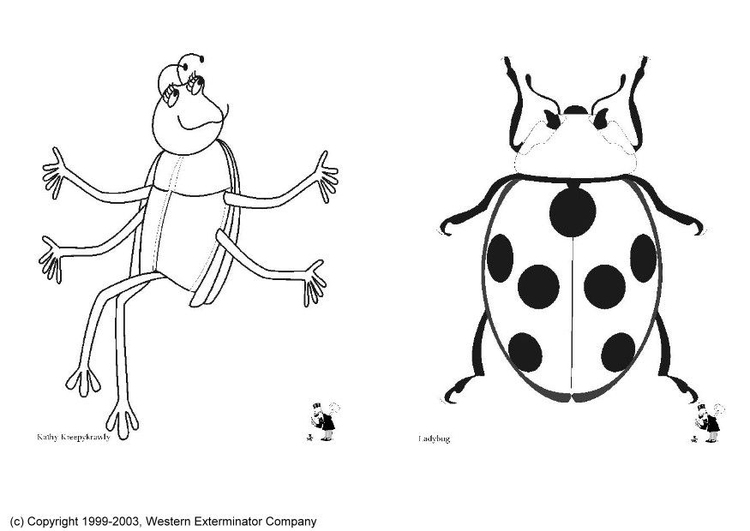 Malvorlage  Insekten