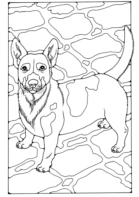 Malvorlage Hund Jack Russel