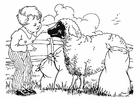 Malvorlagen Junge mit Schaf