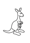 Malvorlagen Känguruh