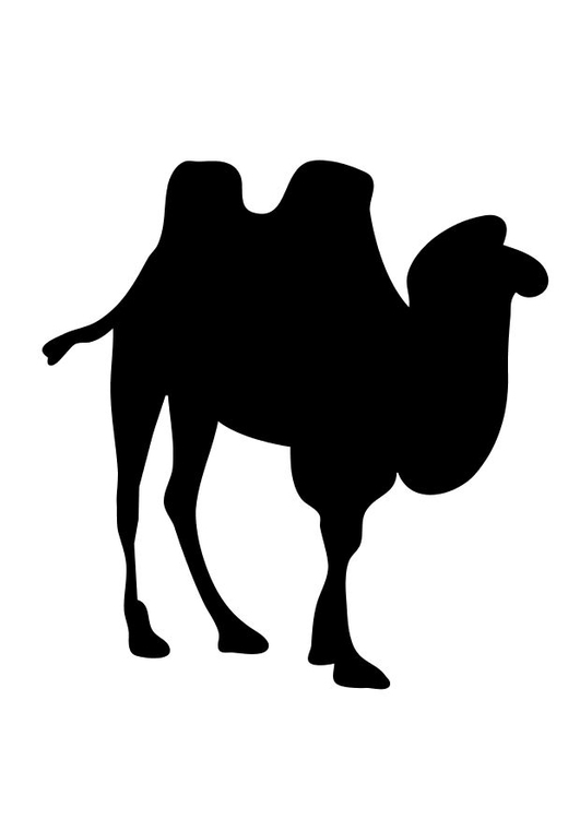 Malvorlage  Kamel