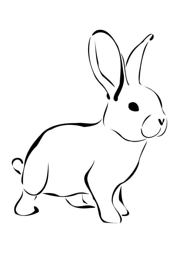 Malvorlage  Kaninchen
