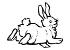 Malvorlage  Kaninchen