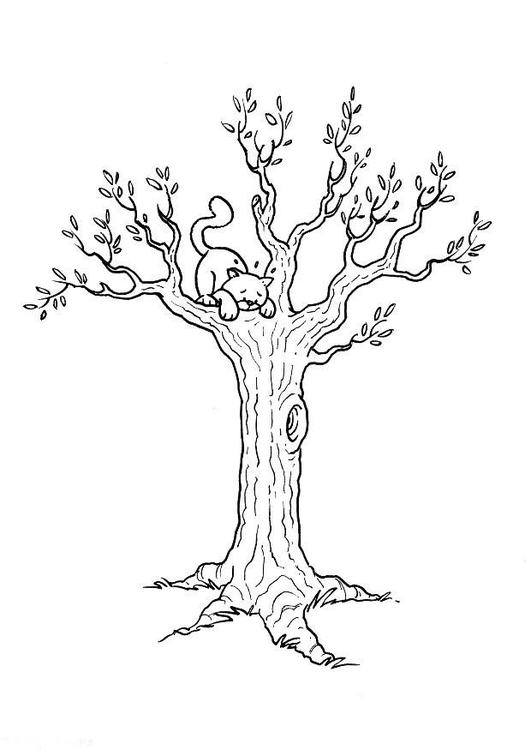 Malvorlage Katze im Baum Kostenlose Ausmalbilder Zum