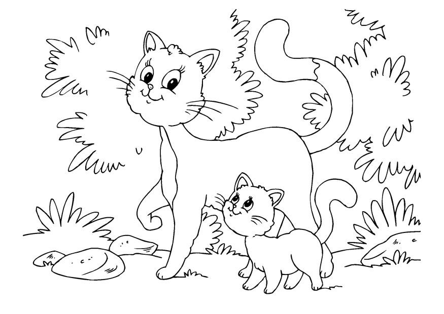 malvorlage katze und kätzchen  kostenlose ausmalbilder
