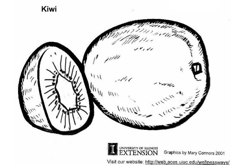 Malvorlage  Kiwi