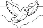 kleiner Vogel