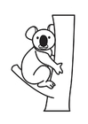 malvorlage Koala