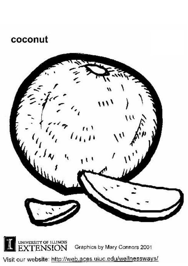 Malvorlage  Kokosnuss