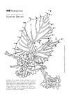 Malvorlage Ginko Blatt Kostenlose Ausmalbilder Zum Ausdrucken Bild