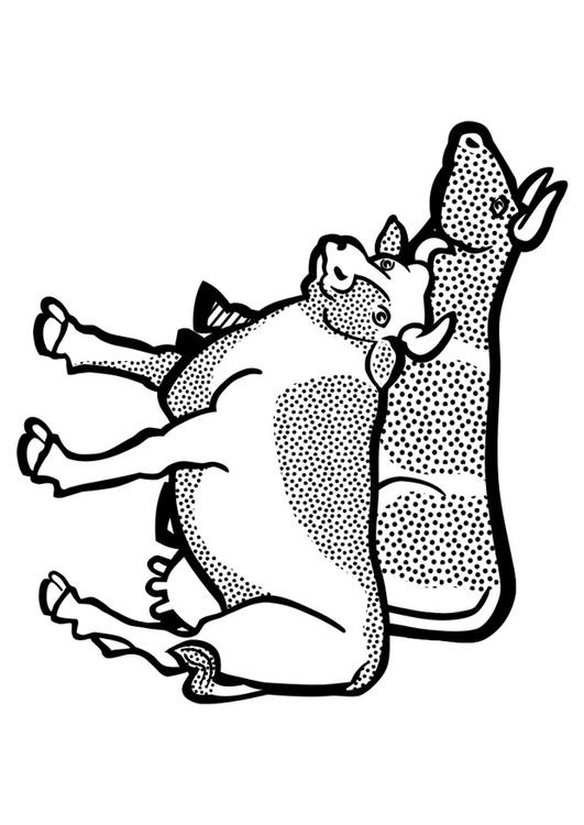 KÃ¼he