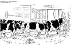 Malvorlagen Kühe