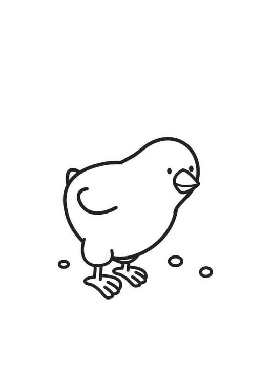 KÃ¼ken