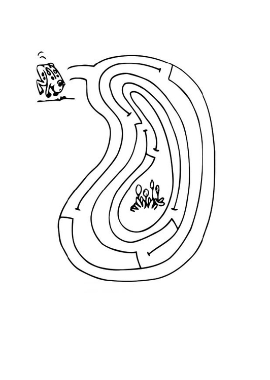 malvorlage labyrinth frosch  kostenlose ausmalbilder zum