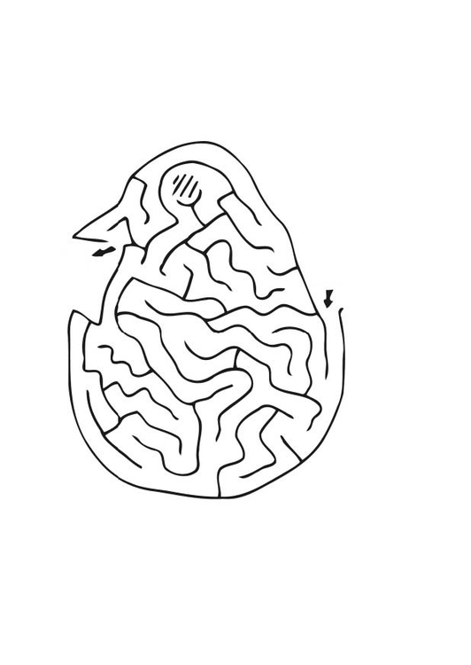 malvorlage labyrinth küken  kostenlose ausmalbilder zum