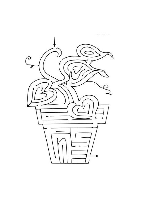 Labyrinth Pflanze