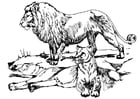 Malvorlagen Löwe und Löwin