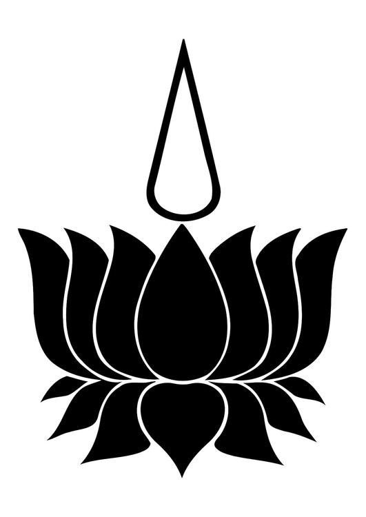 Lotus und Seel