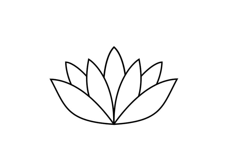 Malvorlage  Lotusblume