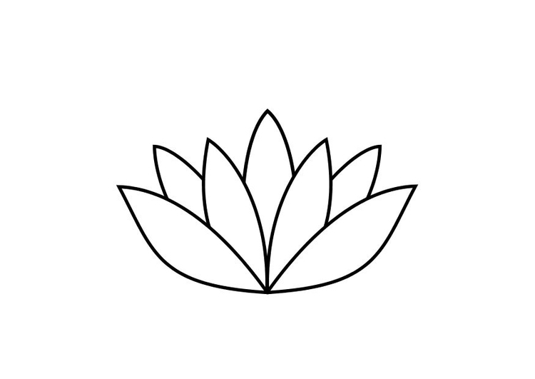 Malvorlage  Lotusblume