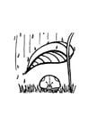 Malvorlagen Marienkäfer schützt sich vor dem Regen