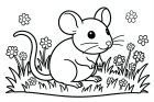 Maus