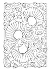 Malvorlage  Muscheln