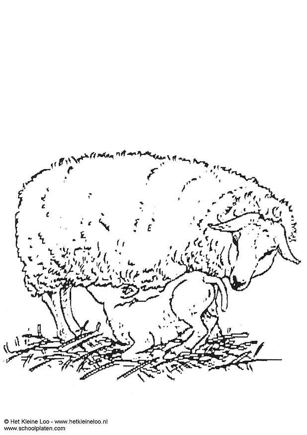 Malvorlage  Mutterschaf mit Lamm