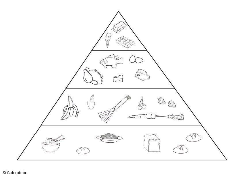 Malvorlage  Nahrungspyramide