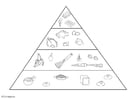 Malvorlagen Nahrungspyramide