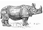 Malvorlage  Nashorn