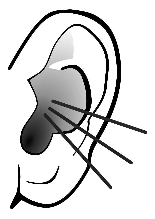 Malvorlage Ohr - Geräusch - Kostenlose Ausmalbilder Zum Ausdrucken