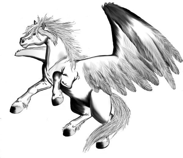 Malvorlage  Pegasus