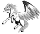 Malvorlagen Pegasus