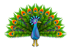 Bild pfau